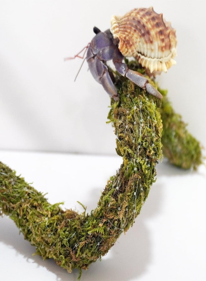 Begeterday 25 Inch Hermit Crab Climbing Toys, Bendable Hermit Crab Supplies, Ideal Hermit Crab Habitat Tank Terrarium Accessories - Image 4